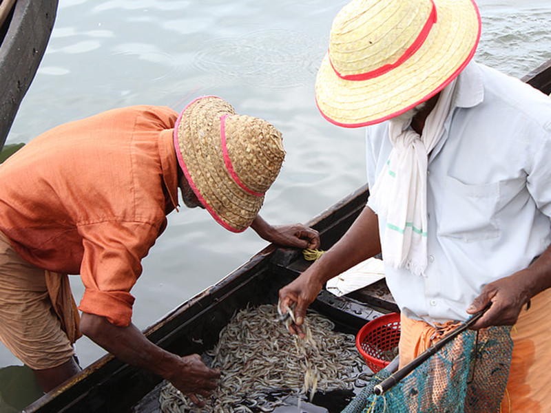 水產(chǎn)養(yǎng)殖檢測儀測定水質