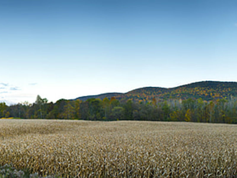 測定植物的營養(yǎng)，為農(nóng)戶取得更大效益
