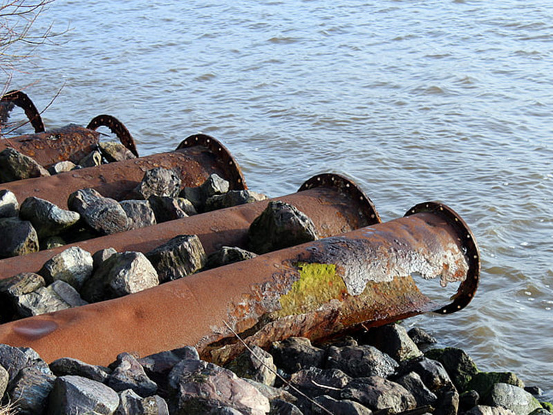 水質(zhì)生物毒性在線分析儀具備哪些特點？