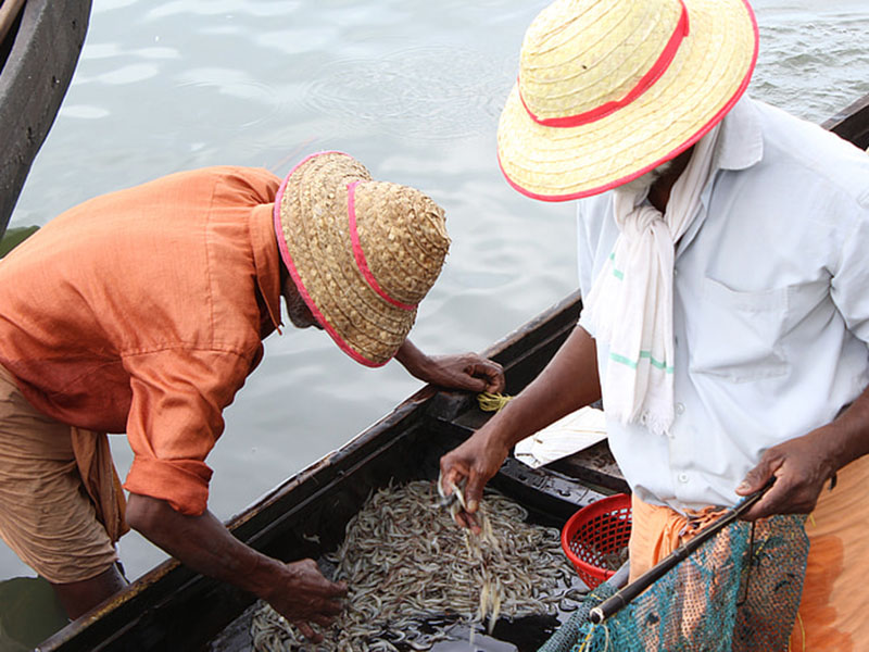 水產(chǎn)養(yǎng)殖業(yè)檢測水質(zhì)的儀器是哪款？