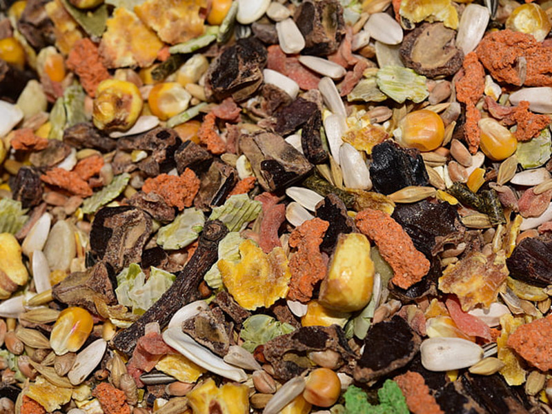 真菌毒素對(duì)人和動(dòng)物有哪些危害?