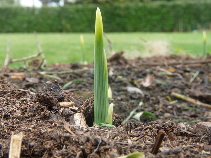 土壤養分檢測儀讓施肥更科學 土壤養分檢測儀讓施肥更科學