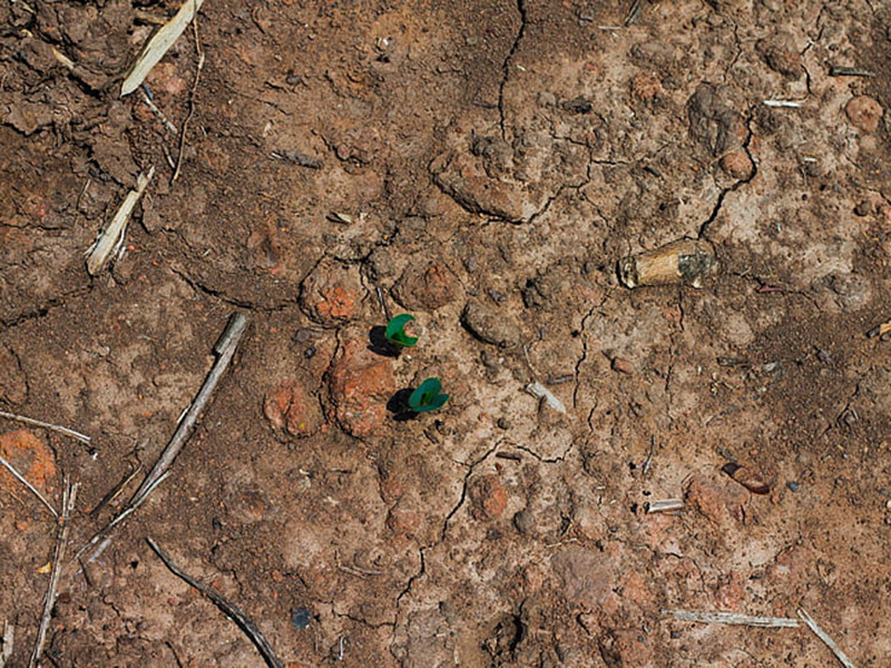 土壤檢測費用一般是多少 土壤檢測費用一般是多少