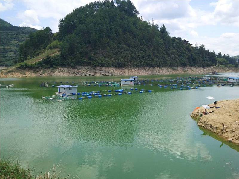 怎么快速去除氨氮-氨氮超標的解決方法