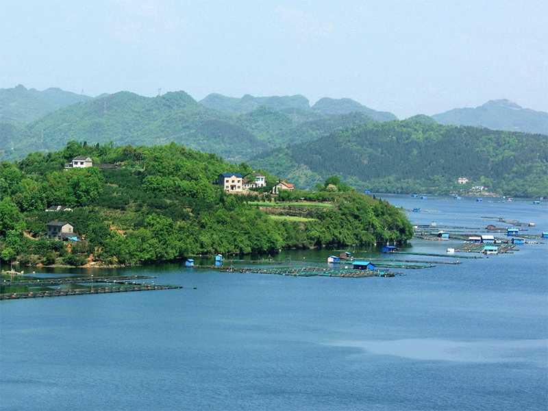 cod快速檢測儀推薦（詳解cod快速檢測儀工作原理）