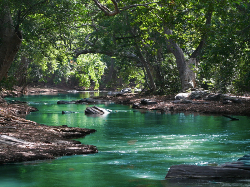 總氮檢測國家標準(總氮檢測儀器有哪些)
