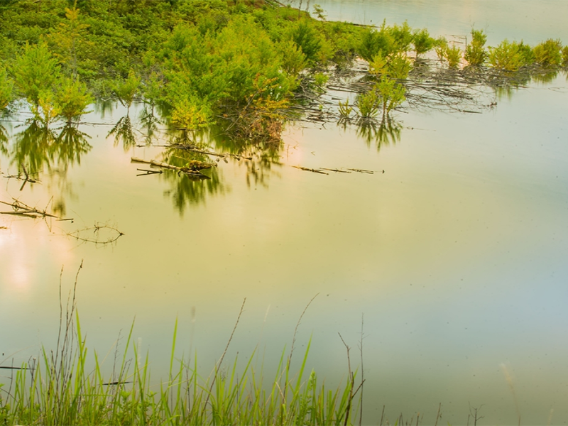 生物毒性檢測儀的測定方法(生物毒性檢測儀價格)