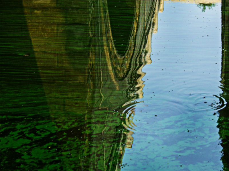 水質氨氮超標怎樣處理 水質氨氮超標怎樣處理