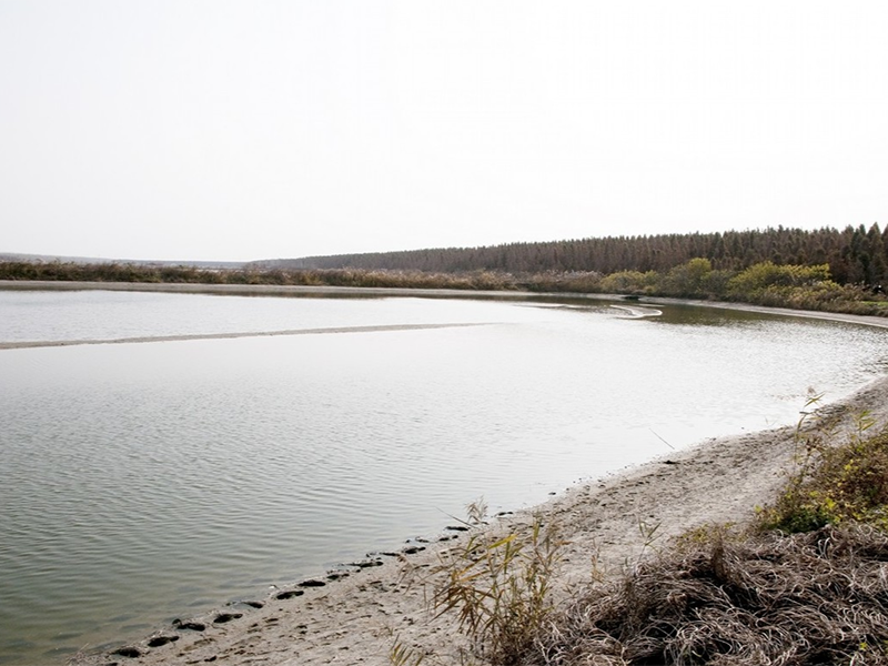 水質(zhì)總磷檢測儀原理