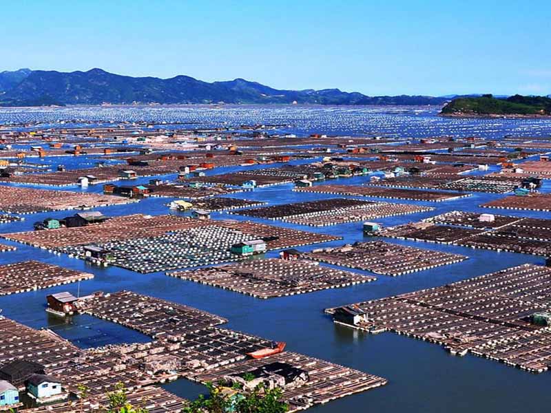 水產養殖二氧化氯使用方法(水產養殖二氧化氯使用誤區)