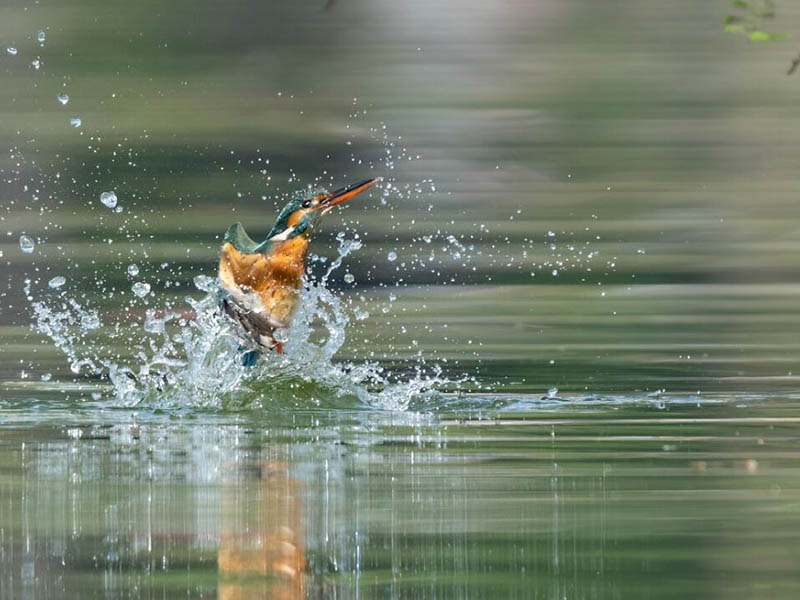 地表水環境質量穩步改善
