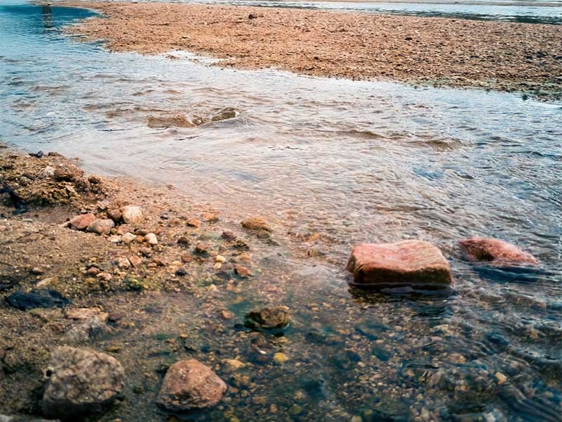 畜牧公司繞過水質(zhì)監(jiān)測設(shè)備排放污水被罰