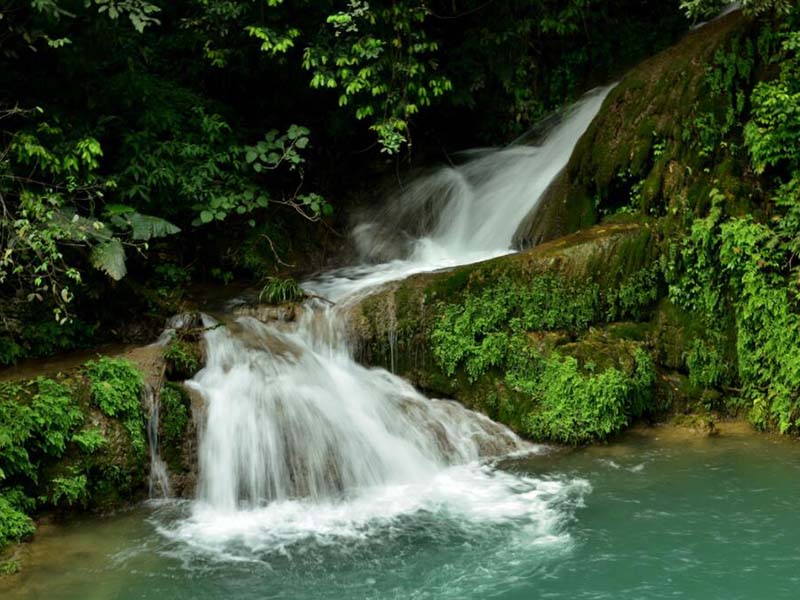 【統計】2020年全國用了多少水？共有多少個水廠？