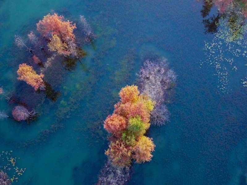 飲用水水質(zhì)監(jiān)測指標有哪些 飲用水水質(zhì)監(jiān)測指標有哪些