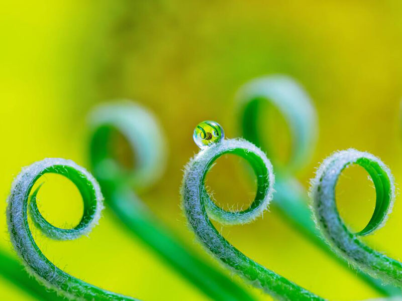 余氯、總氯、有效氯有什么區別 余氯、總氯、有效氯有什么區別