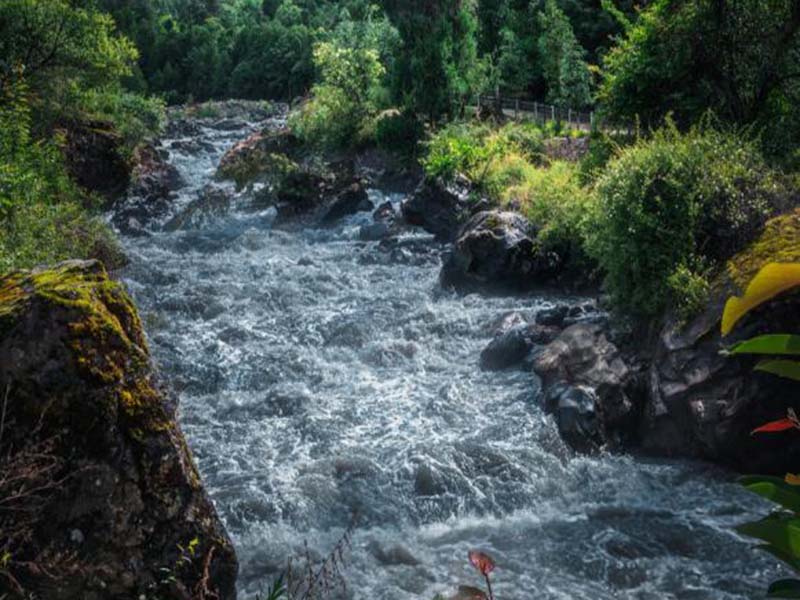 【問(wèn)答】酶底物法檢測(cè)水質(zhì)總大腸菌群時(shí)測(cè)定結(jié)果如何計(jì)數(shù)