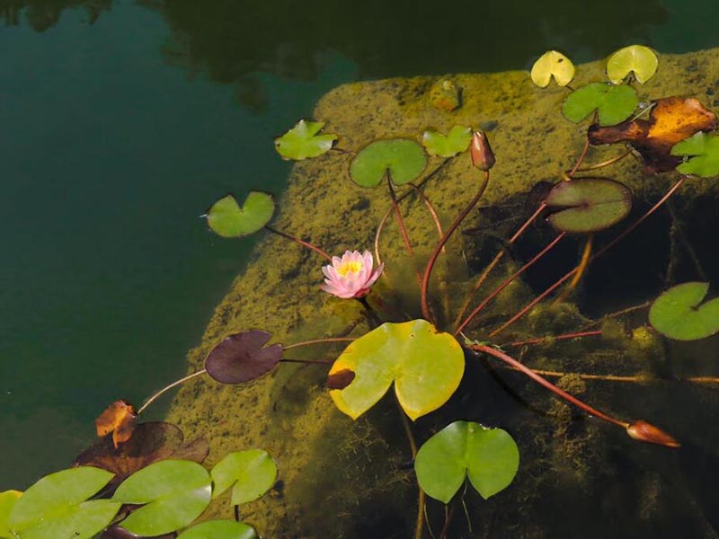水產養殖水質檢測的重要性