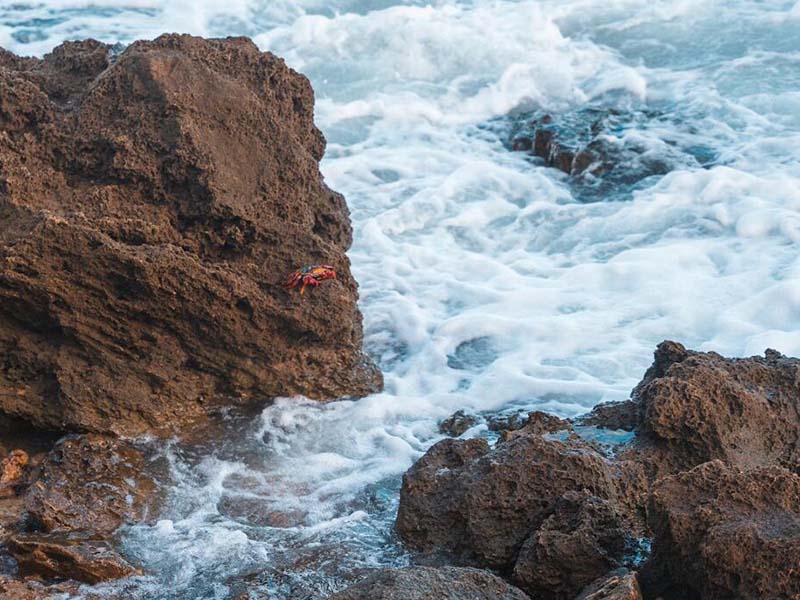 如何驗(yàn)證水質(zhì)測定儀的性能