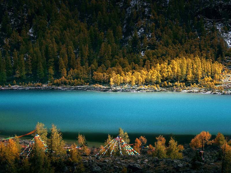 【實例】COD在線監測儀使用常見故障