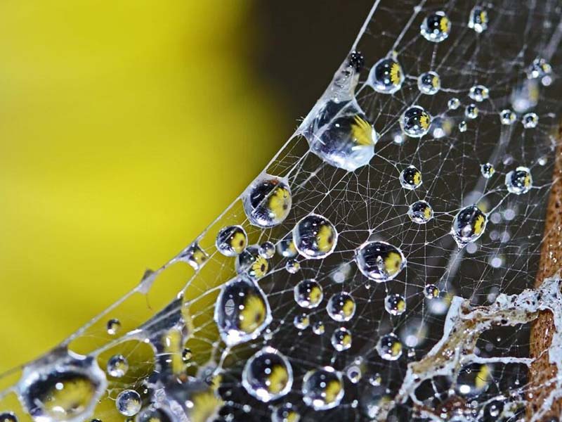 氨氮檢測儀使用常見故障