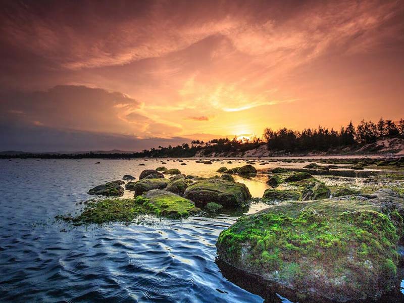 黑臭水體的判斷標準