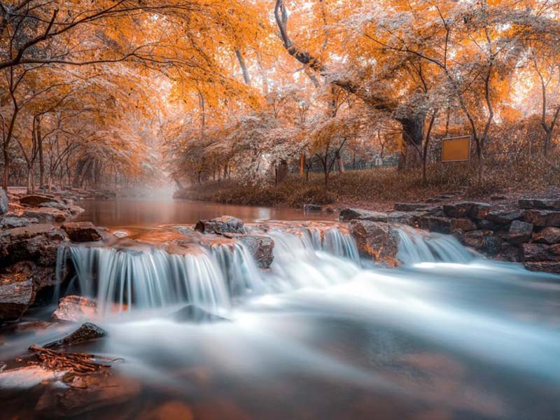 手持式總磷檢測(cè)儀使用方法(手持式總磷檢測(cè)儀原理)