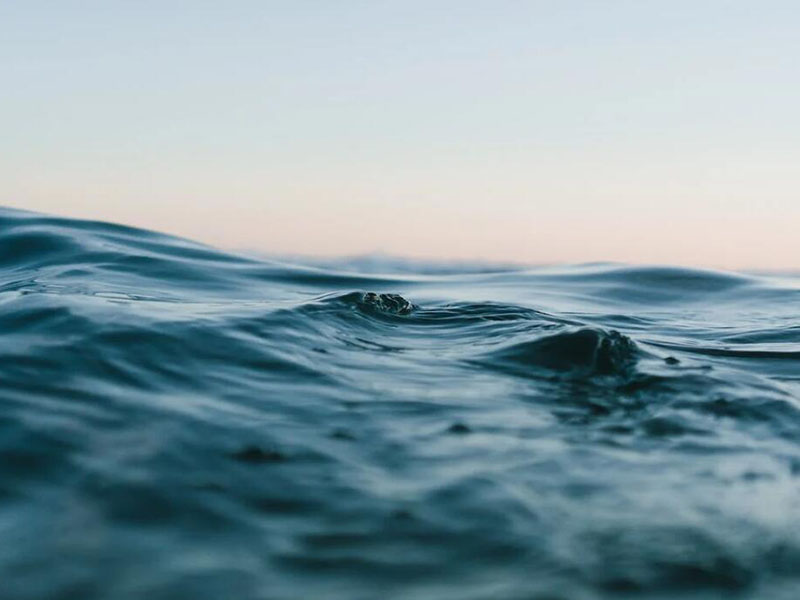 入海河流總氮管控現狀