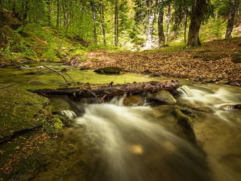 COD檢測儀怎么標定