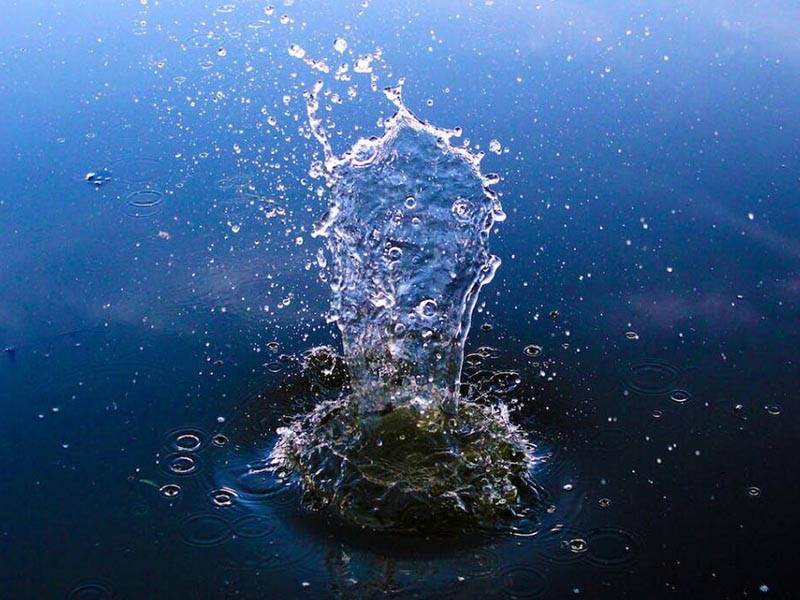 4種測(cè)定BOD含量的方法