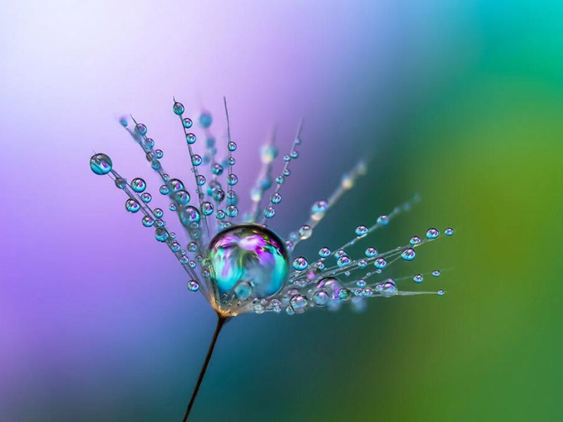 便攜式水質重金屬檢測儀使用方法