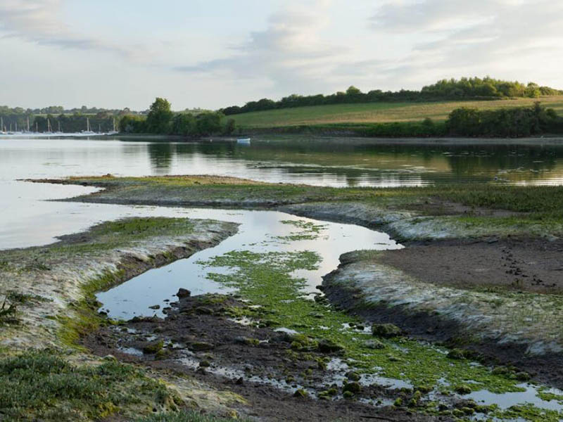 【統(tǒng)計】生態(tài)環(huán)境部公布2024年1—3月全國地表水環(huán)境質量狀況