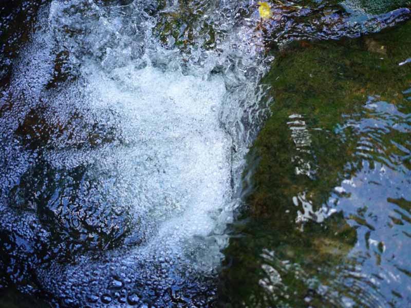 水體重金屬檢測方法