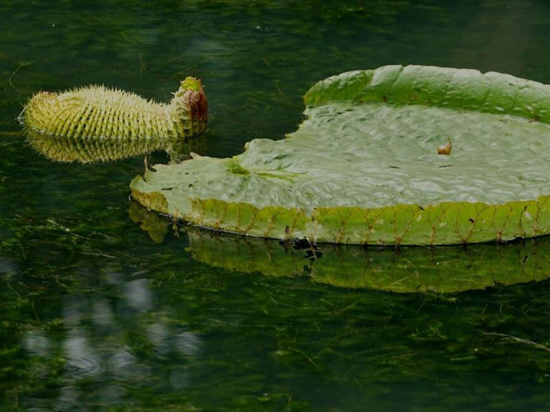 氨氮快速測定儀的使用規范