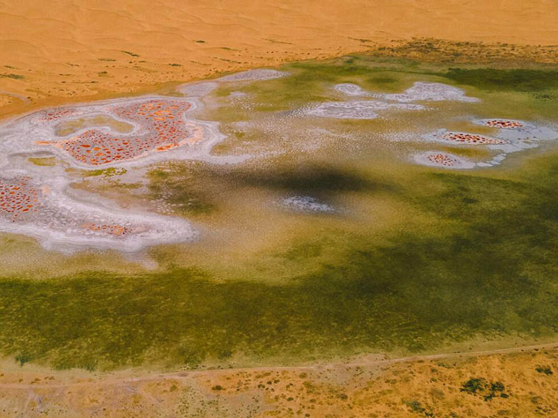 總磷快速檢測儀參數指標