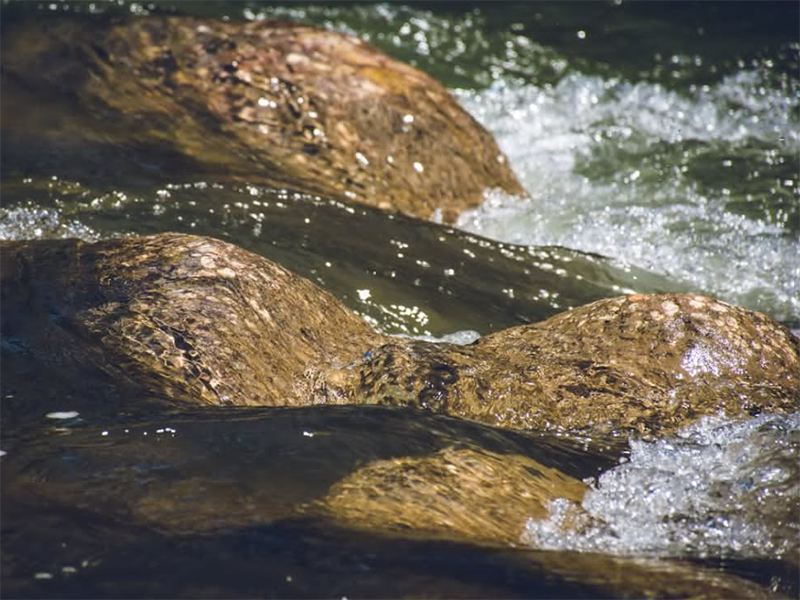 CODcr檢測儀設計依據