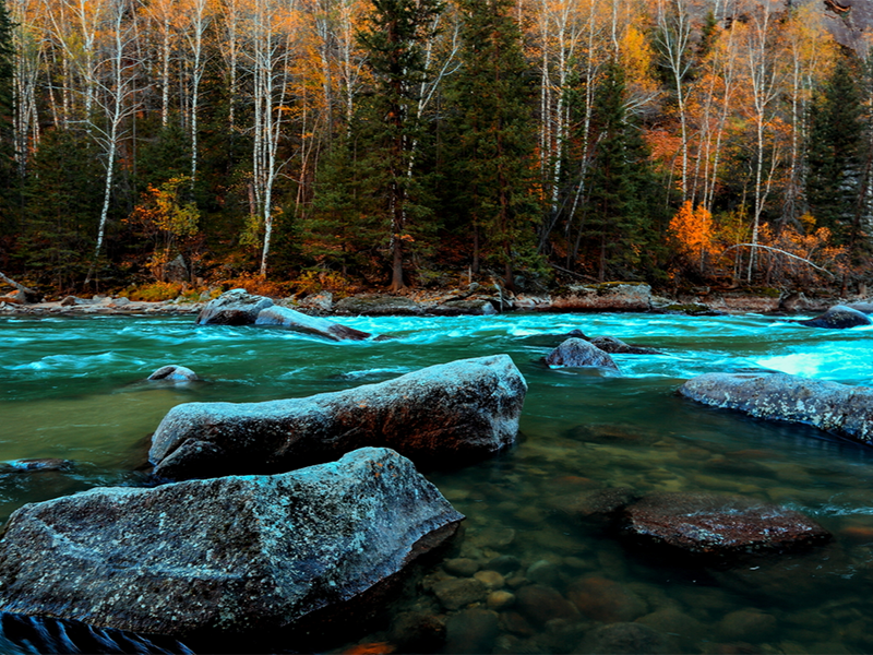水質總磷檢測步驟及注意事項