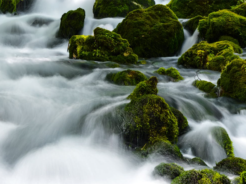 氨氮快速檢測儀需要具備哪些功能