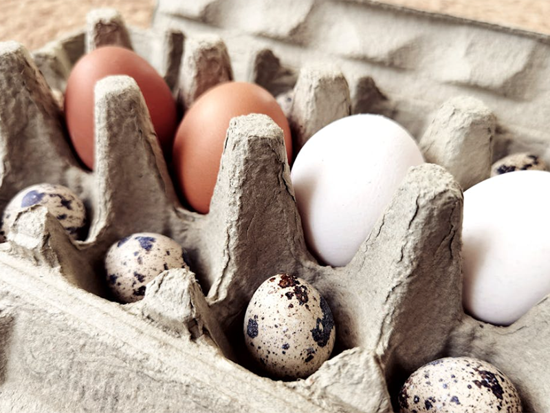 食品安全檢測(cè)儀廠家推薦