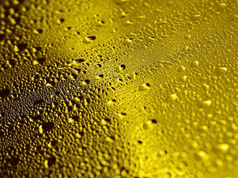 食用油酸價檢測儀功能特點