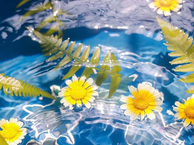 水環境中微塑料的生態風險