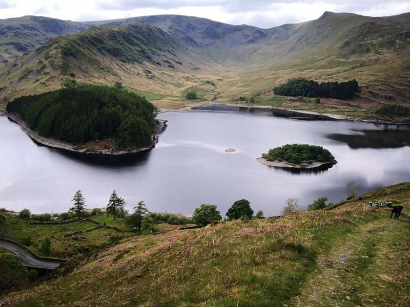 污水處理的基本原則