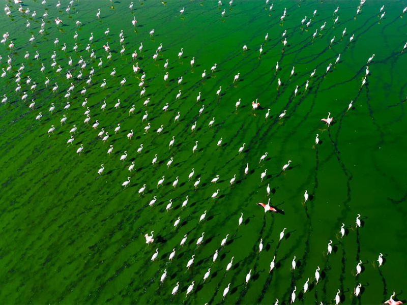 氨氮總氮檢測(cè)儀類型