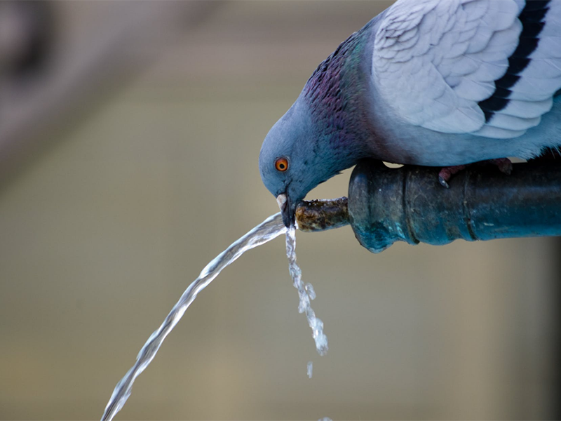 二次供水升級中水質監測設備的作用(水質監測設備功能特點)
