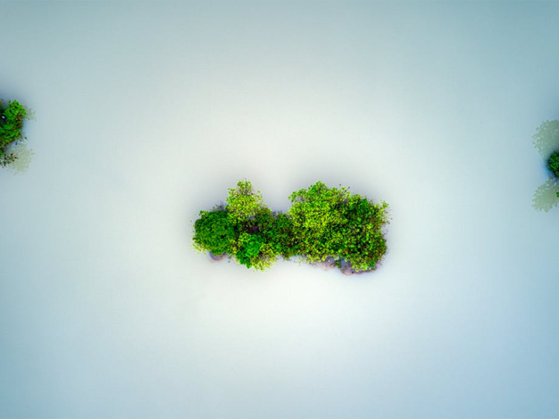 如何正確保養COD快速測定儀(COD快速測定儀操作指南)