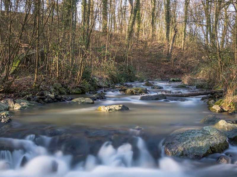【案例】廣州某企業人為干擾污水監測設施致數據失真，管理員獲刑