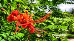 土壤有機質檢測儀有什么作用？