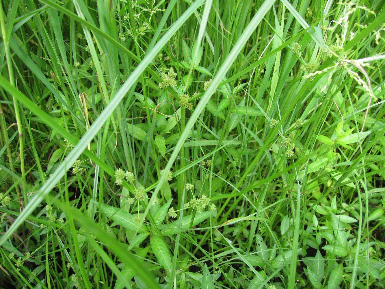 壤水分和養分含量