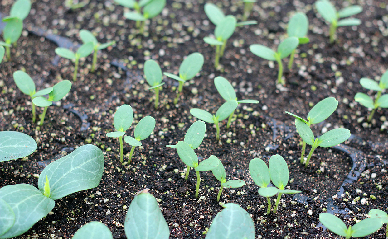 土壤肥料檢測儀 土壤肥料檢測儀