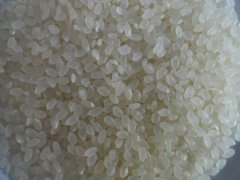 大米重金屬鎘檢測(cè)儀，可對(duì)樣品進(jìn)行快速檢測(cè)