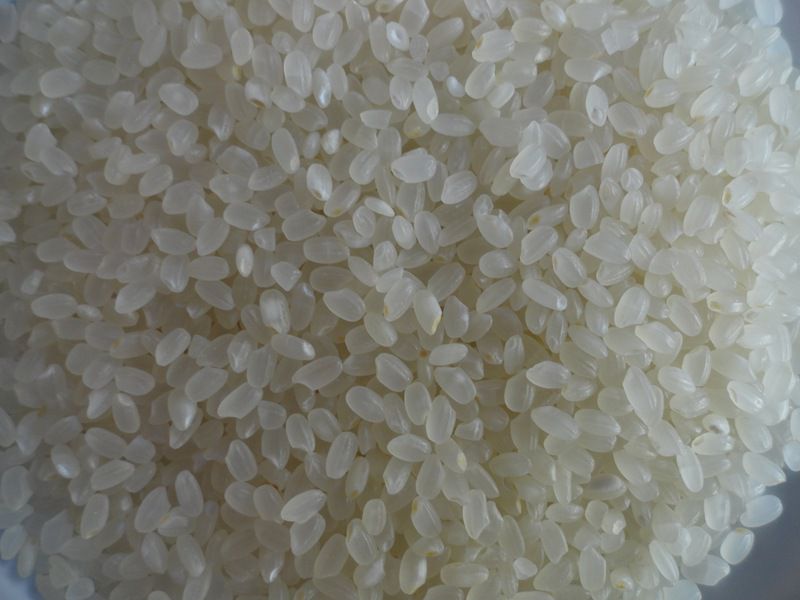 大米重金屬鎘檢測儀，可對樣品進行快速檢測